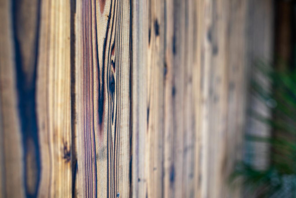 Johnson.Charred Nakamoto