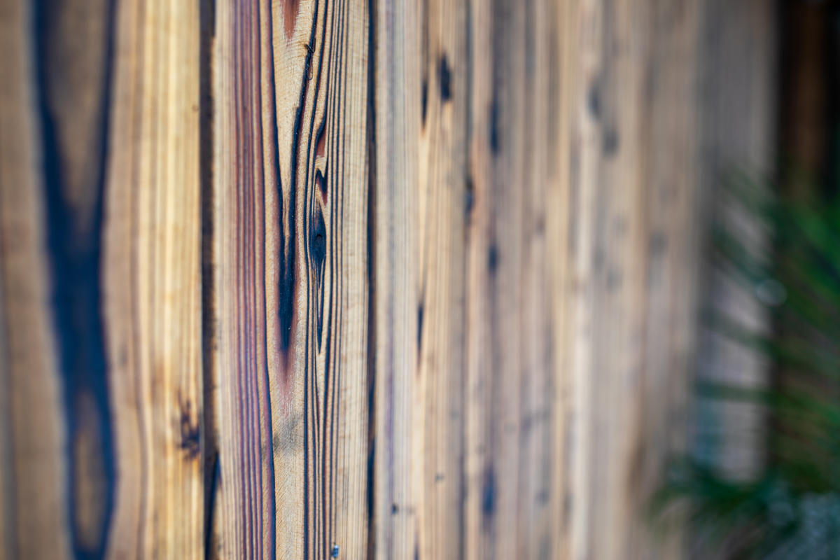 Johnson.Charred Nakamoto